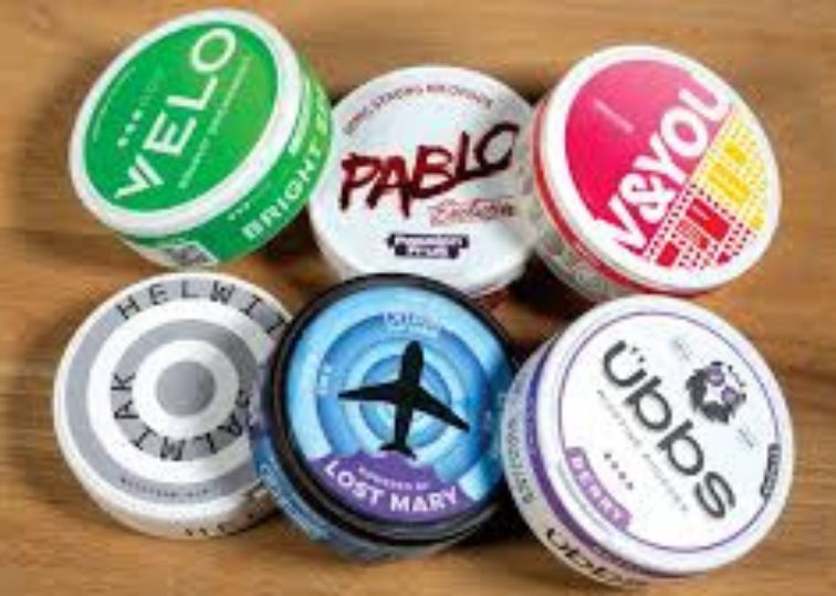 Nicotine Pouch Brands to Try in 2026